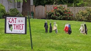 Cat stealing from neighbors has picture painted on sign reading 'my cat is a thief' next to stolen goods in backyard