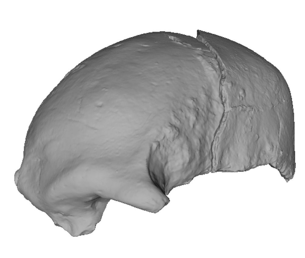 skull image