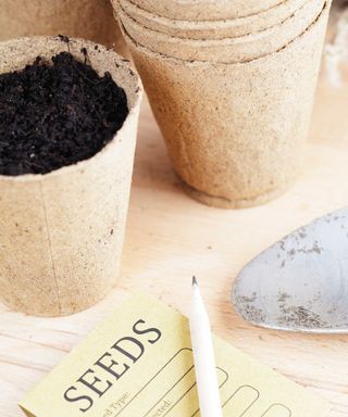 coir seed pots and seed packet