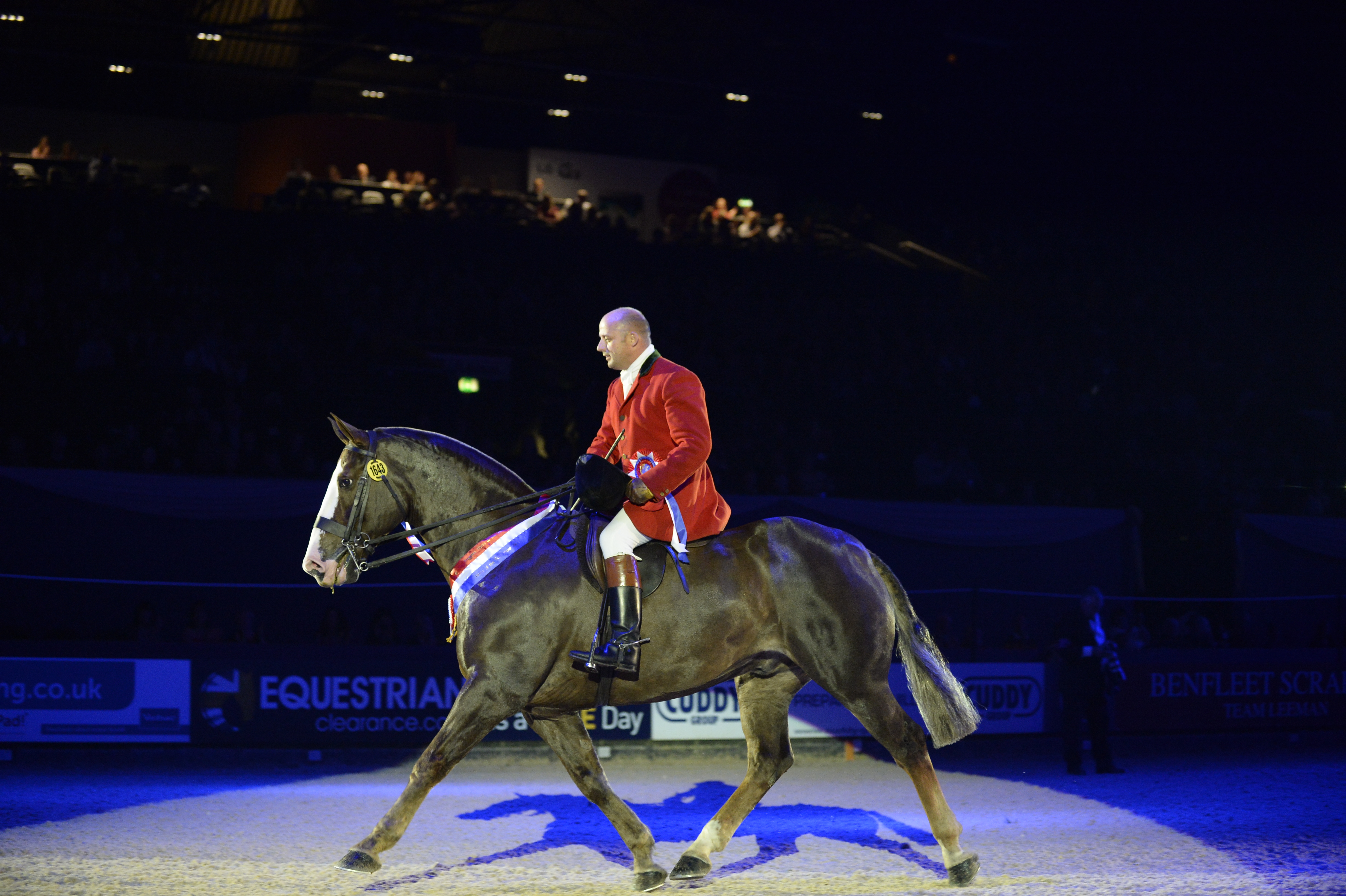 HorseNo1643_HOYS13MS6047-1.jpeg