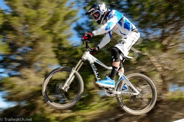 A Giant racer flashes through the trees
