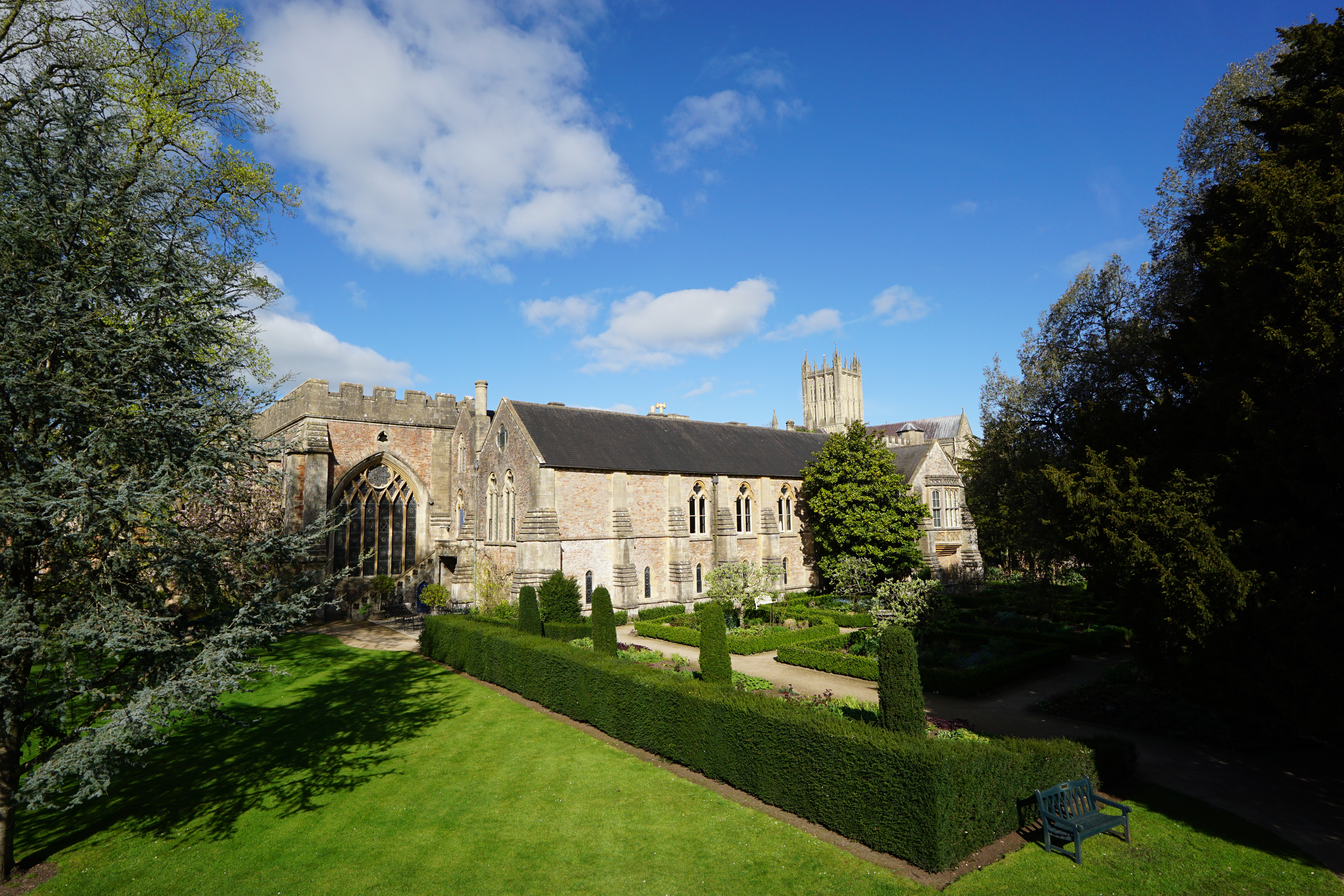 Sigma 12mm f/1.4 DC | C example shot