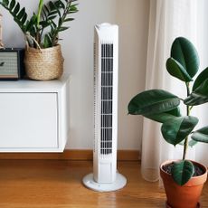 tower fan in a living room - Kate Korolova - GettyImages-2165422561