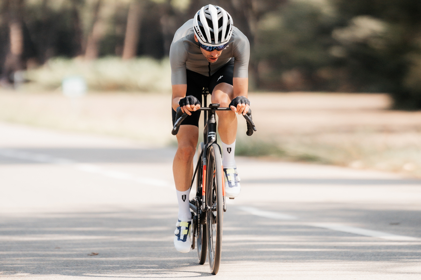 2026 Ridley Falcn RS