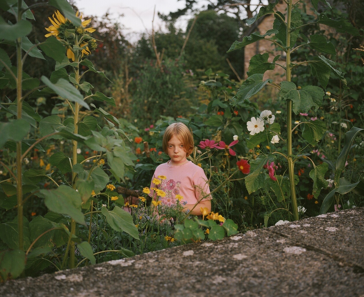people in garden