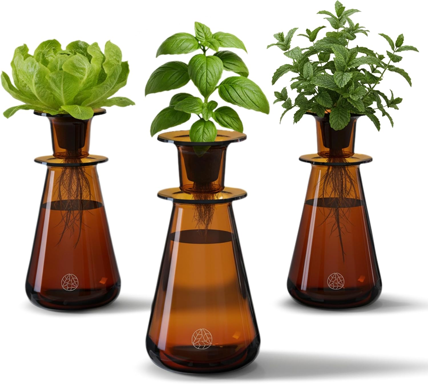 Lettuce Grow Counterstand Set &amp;ndash; Vase Plant for Indoor Edible Garden Kit for Herbs &amp;amp; Lettuce &amp;ndash; Small-Space Hydroponic System &amp;ndash; Home Decor &amp;amp; Gifting &amp;ndash; No Glow Lamp