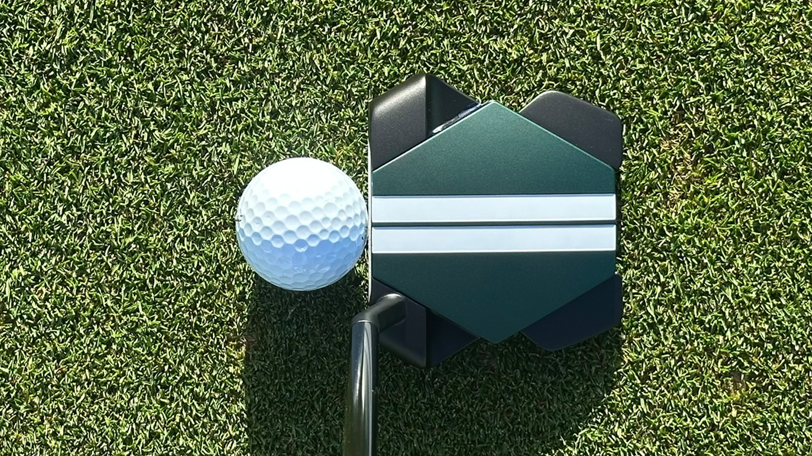 Odyssey TRTL Putter