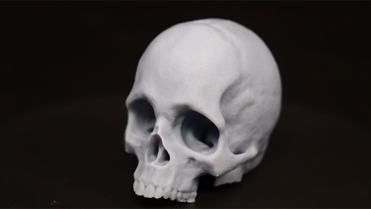 Nova3D Whale3 SE 3D printer-menu screen-test print-front of skull