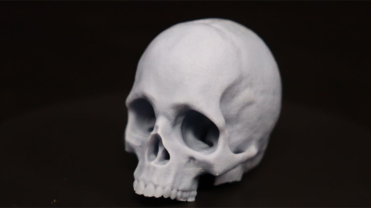 Nova3D Whale3 SE 3D printer-menu screen-test print-front of skull