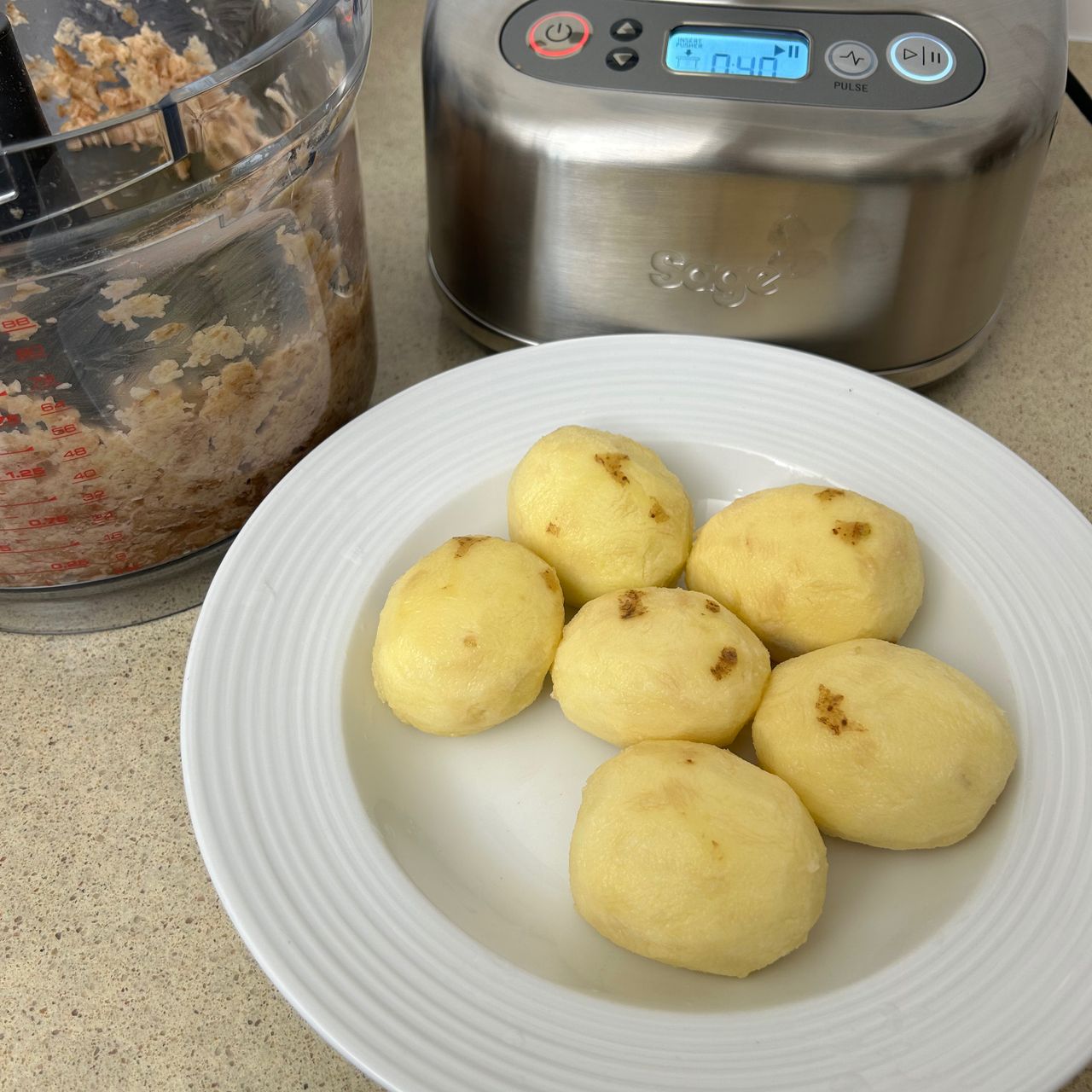 Testing the Sage Paradice 16 Food Processor