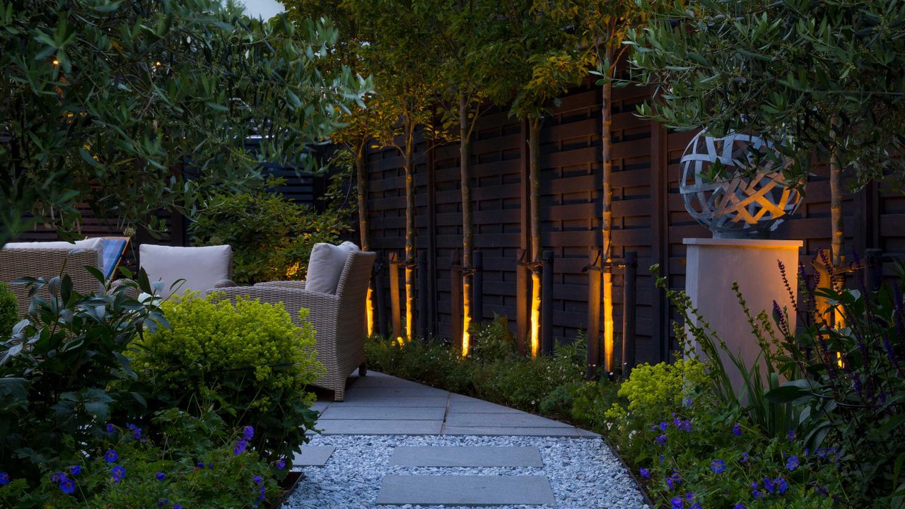 path lighting ideas: Pyrus calleryana &#039;Chanticleer&#039; trees with uplighting