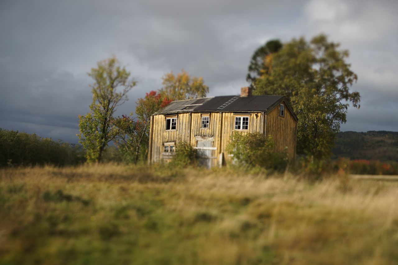 Shot with Lensbaby Edge 35 Optic. Image by Helena Normark