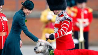 Catherine, Duchess of Cambridge presents Irish Wolf Hound 'Turlough Mor' with a sprig of shamrock