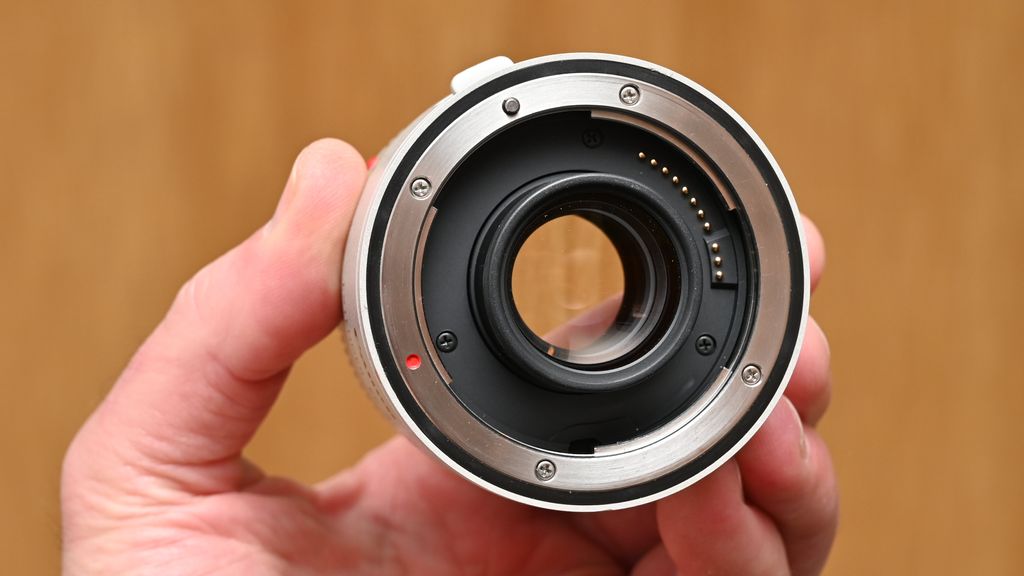Canon Extender EF 2x III review: is twice as much twice as good ...