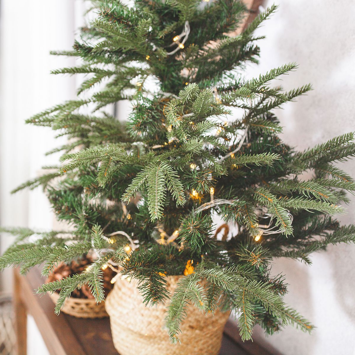 Try These Real Mini Christmas Tree Types For Festive Joy