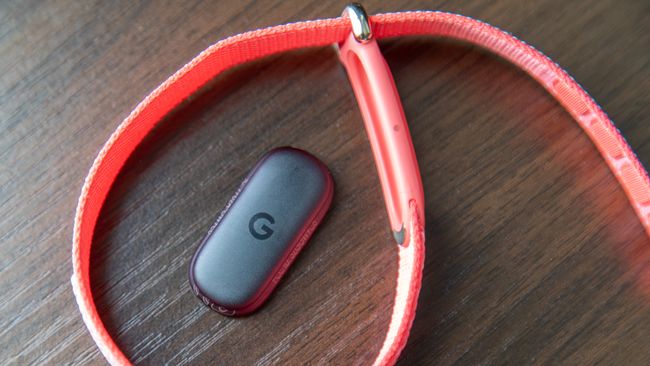 Отсутствующее обновление ставит палки в колеса дебюту Google Fitbit Air