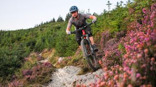Dave from DMBinS riding Dyfi trails
