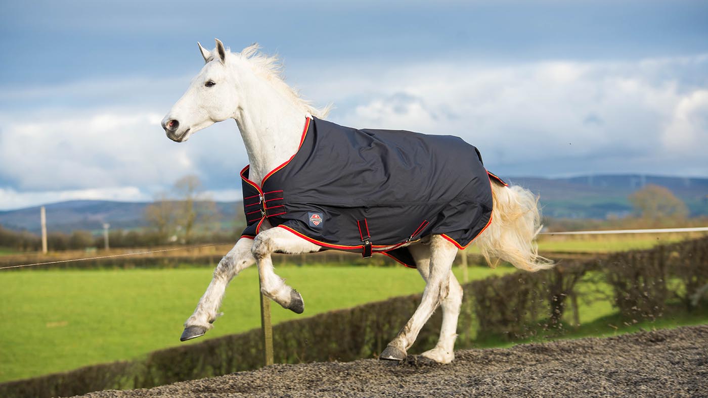 Mackey Equi-Sential Lightweight turnout rug