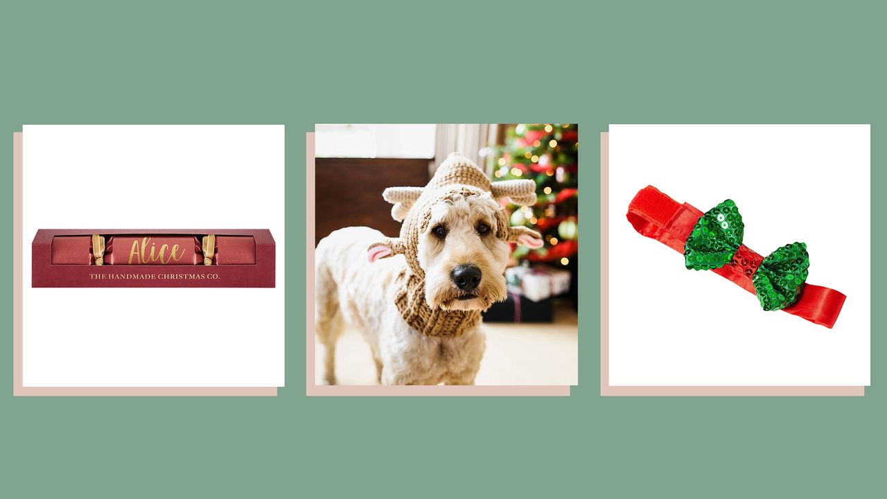 three of w&amp;h&#039;s picks for Christmas gifts for dogs—a personalized cracker, reindeer ears on a dog and a festive bow collar—on a green background