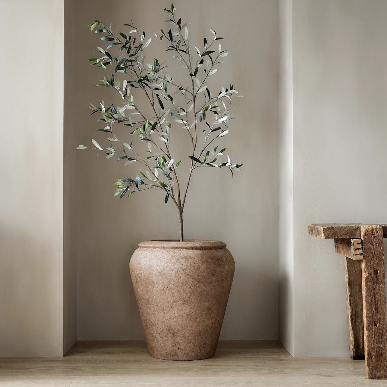 Faux olive trees are trending, and here are my favorites | Homes and ...