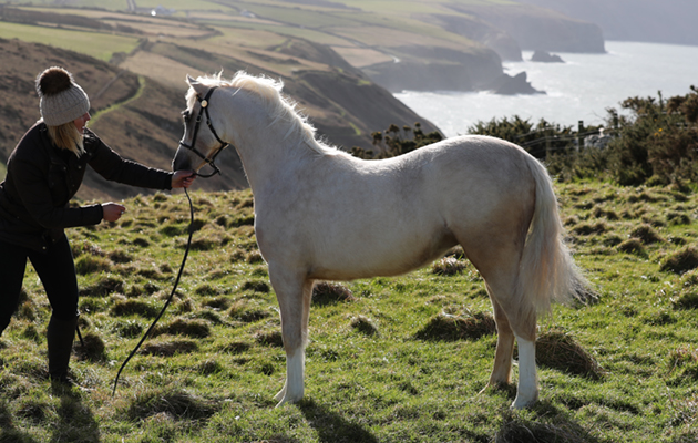 The location