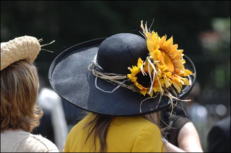 Hat_sunflowers.JPG