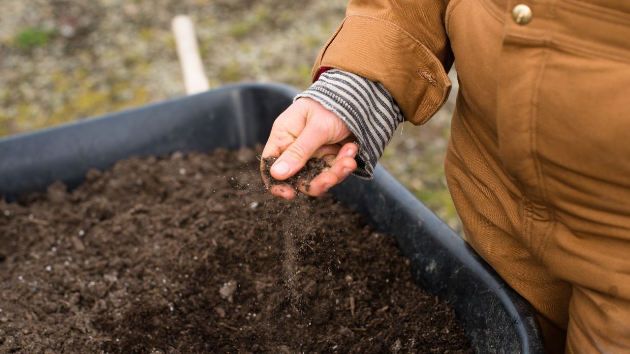 soil in barrel