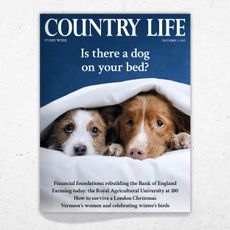 Cover of Country Life 3 December 2025