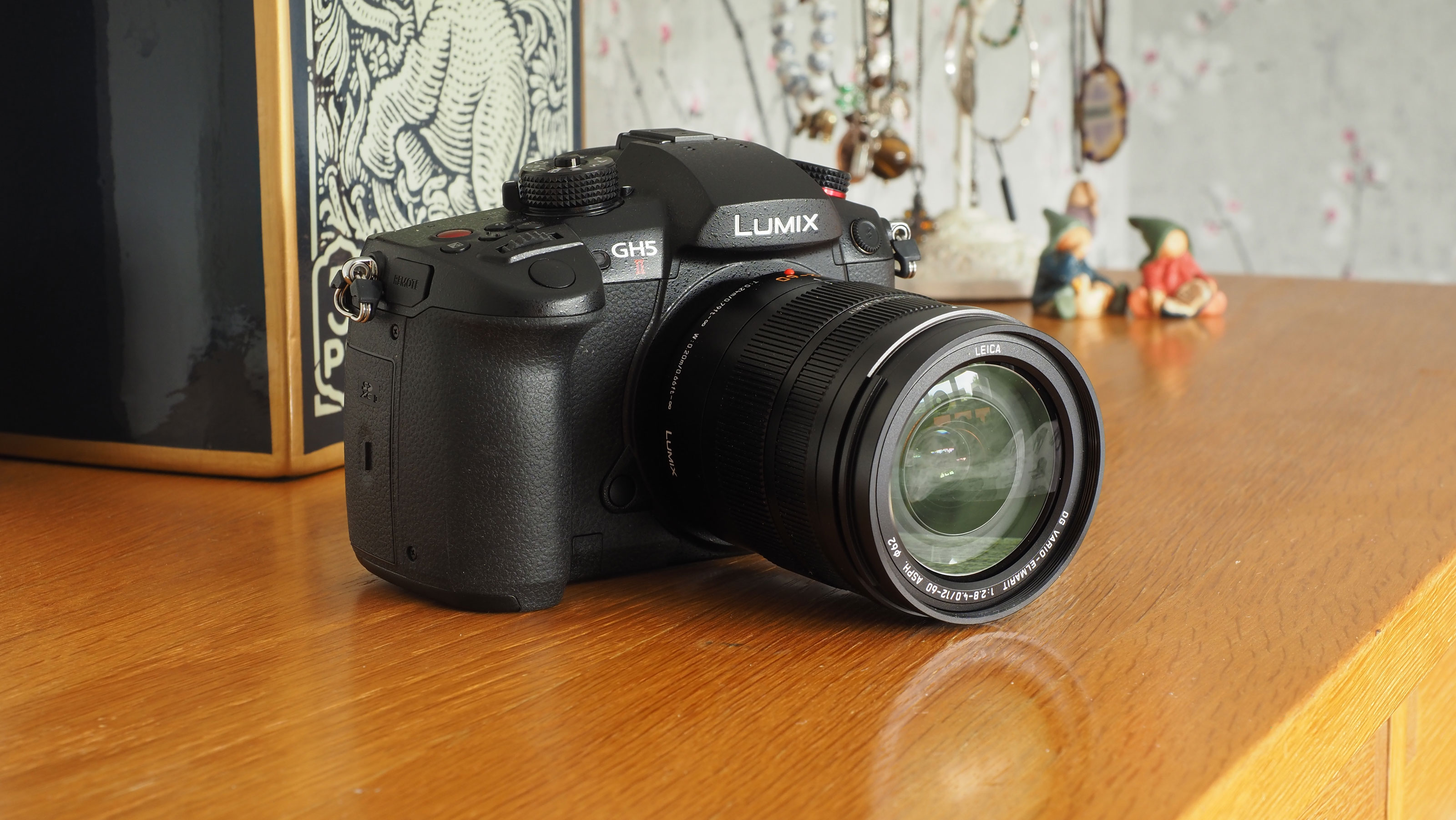 Best Micro Four Thirds cameras: Panasonic Lumix GH5 II