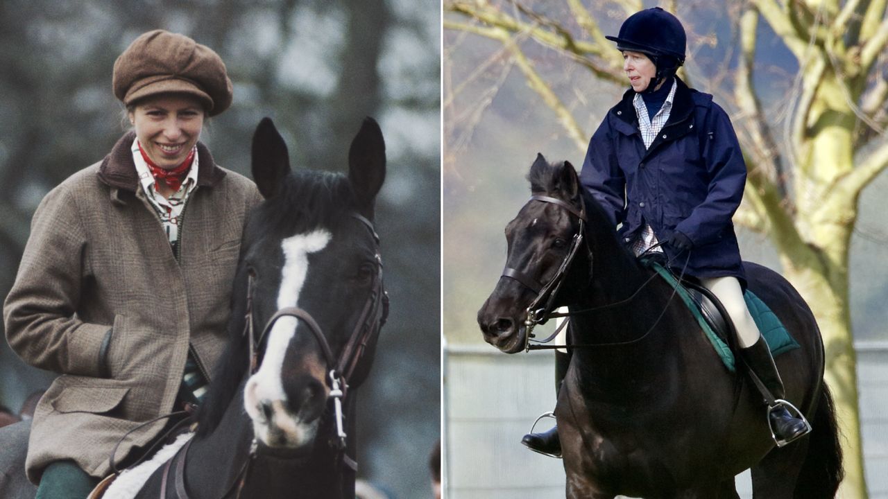 Princess Anne riding ponies and horses