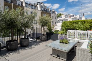 A roof terrace amongst terrace townhouses with an outdoor sofa, black railings and three potted trees