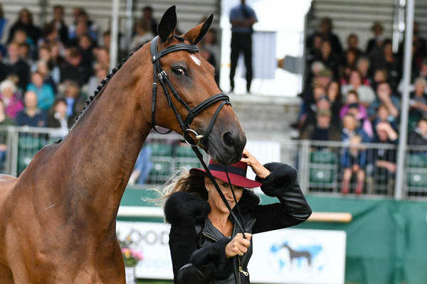 REVE-DU-ROUET_LRBHT_NP18_72615.jpg