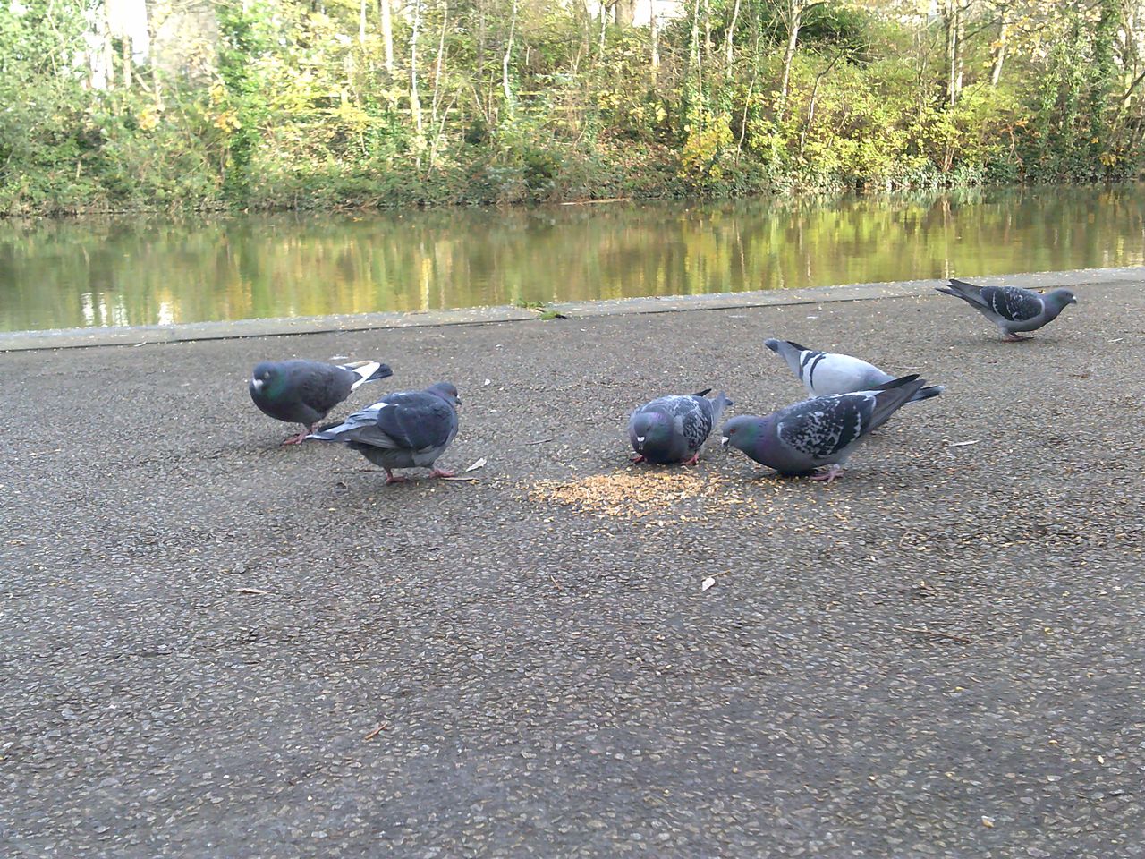 A photo taken on an AgfaPhoto Realishot DC5500 compact camera