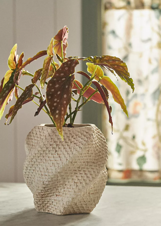 A woven cement planter from Anthropologie