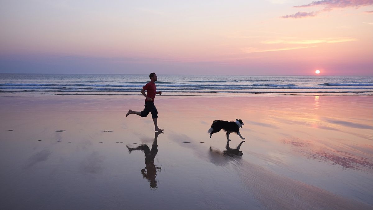 Top tips for running with your dog Advnture