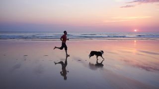 Person and dog running on beach at sunset