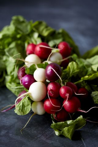 Radishes come in all colours