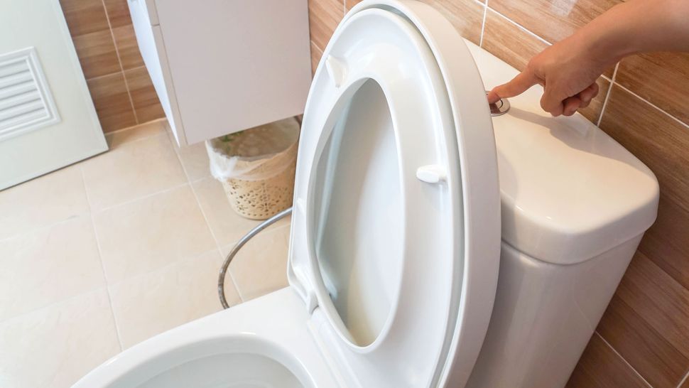How to fix a toilet that won't flush with this expert guide | Homebuilding