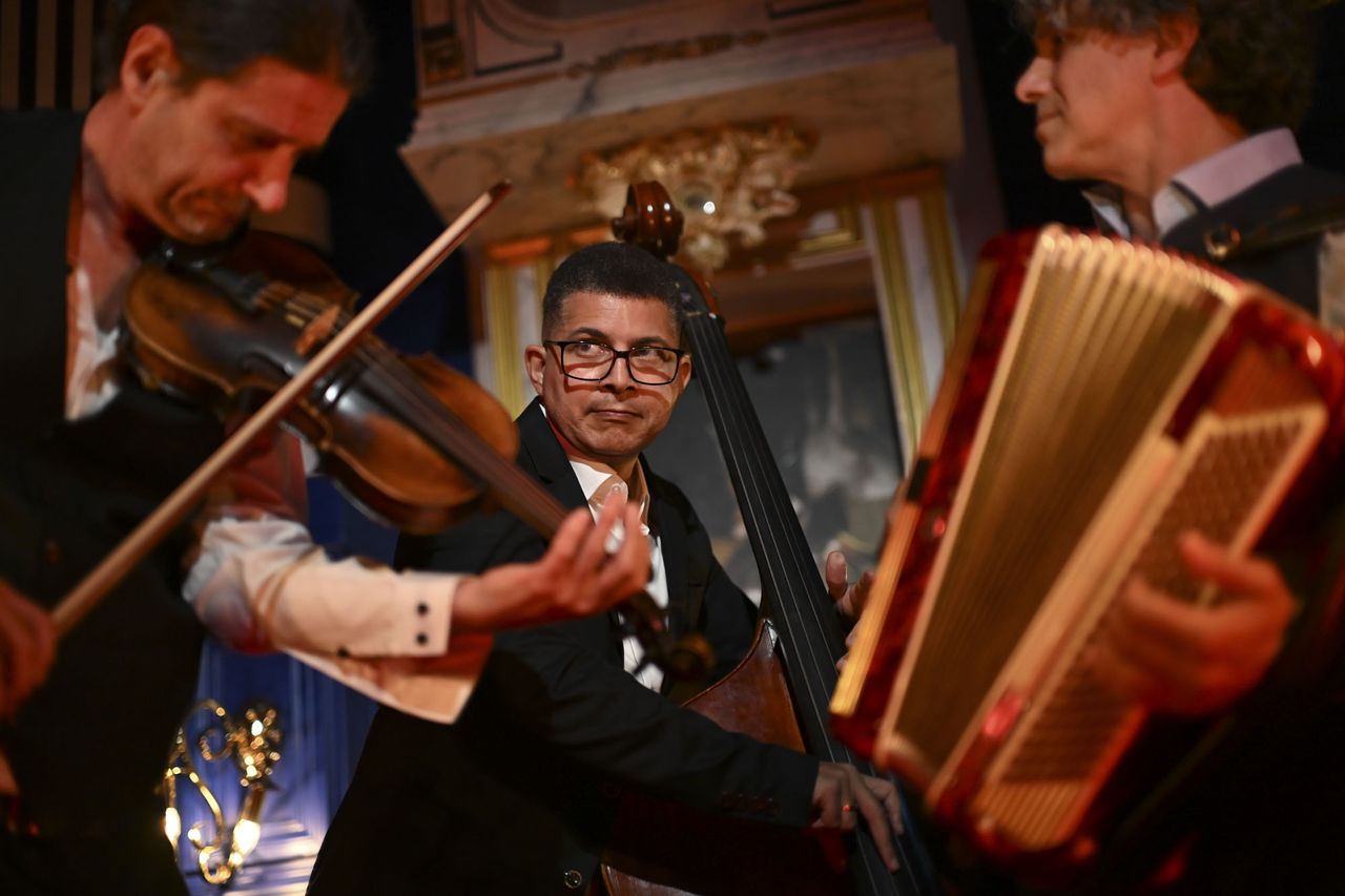 Nikon ZR sample images &ndash; musicians in a classsic interior; a violinist, double bass and accordian
