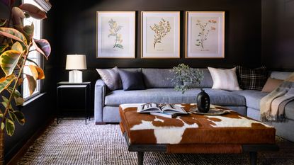 A living room with black painted walls, grey sectional sofa, brown cow hide footstool and artwork on the wall