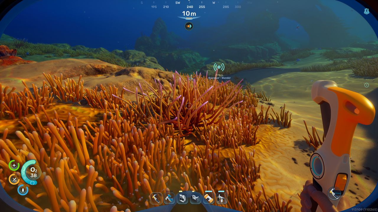 Subnautica 2 fibrous pulp: A player looking at whip gorgon plants on the seabed.