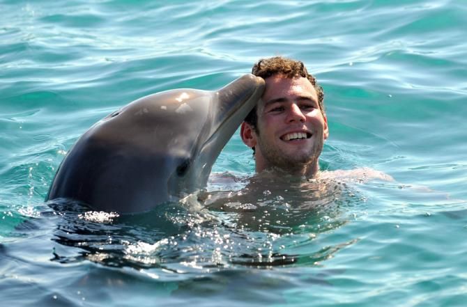 Dolphin downtime in the off-season