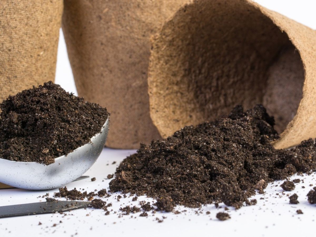 What's In Garden Soil Garden Soil Versus Other Soils Gardening Know How