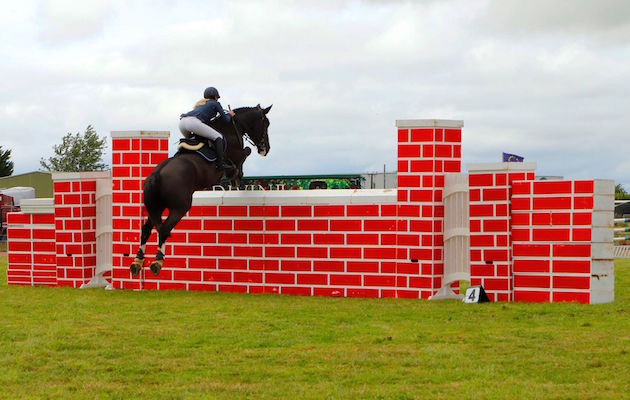Cob-puissance-21.jpg