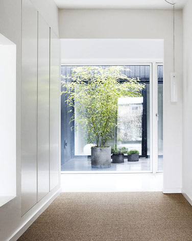 Through a white and bright hallway, we see the courtyard, with a tree.