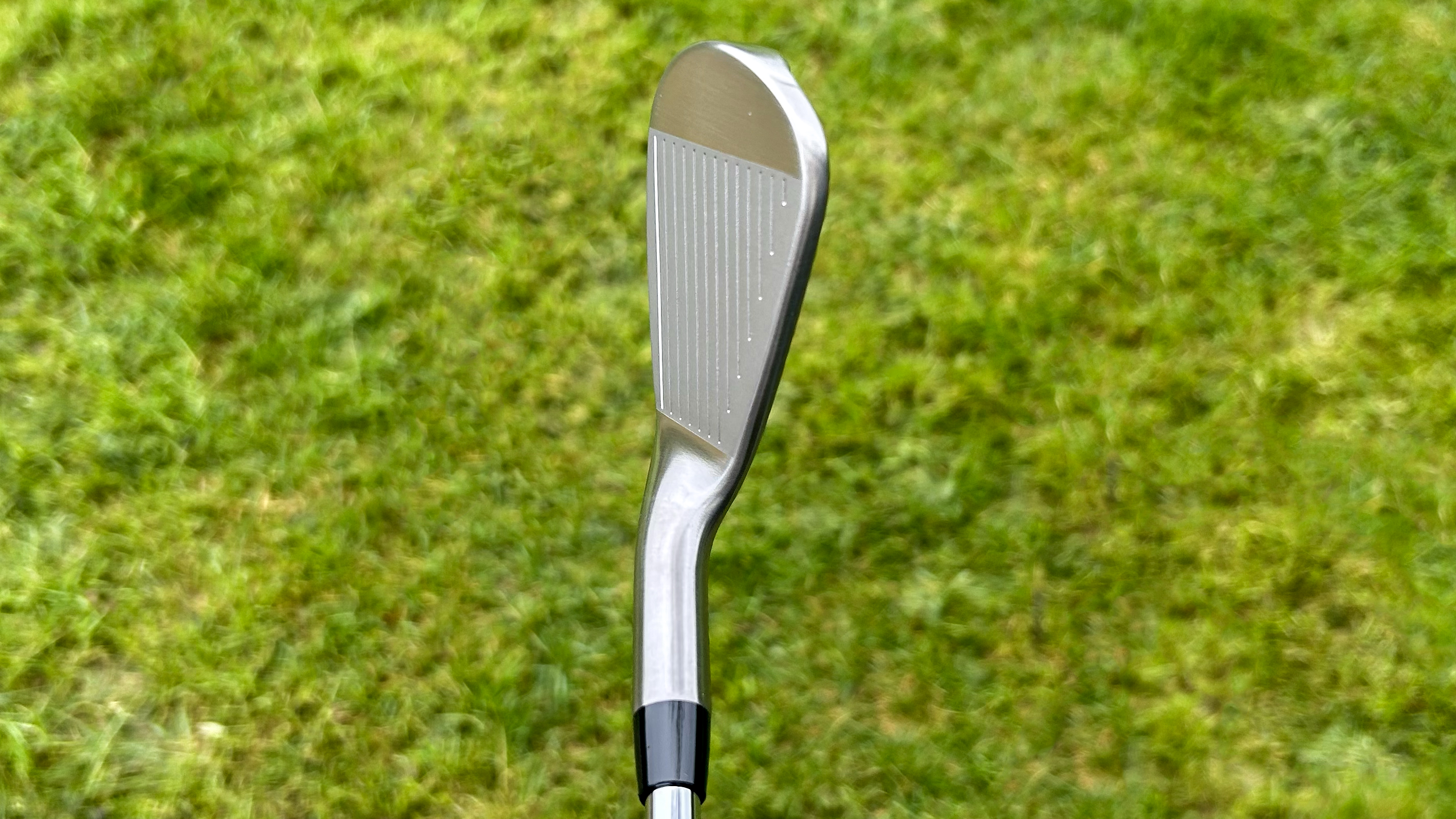 Photo of the Takomo 101 MKII Iron