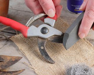 sharpening pruning shears with a sharpening stone