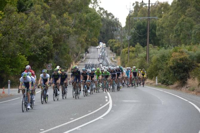 Here comes the peloton