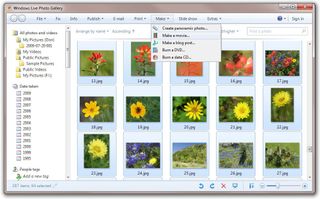 Adding Photos from Windows Live Photo Gallery
