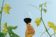 A winemaker holding a glass of wine next to a vine